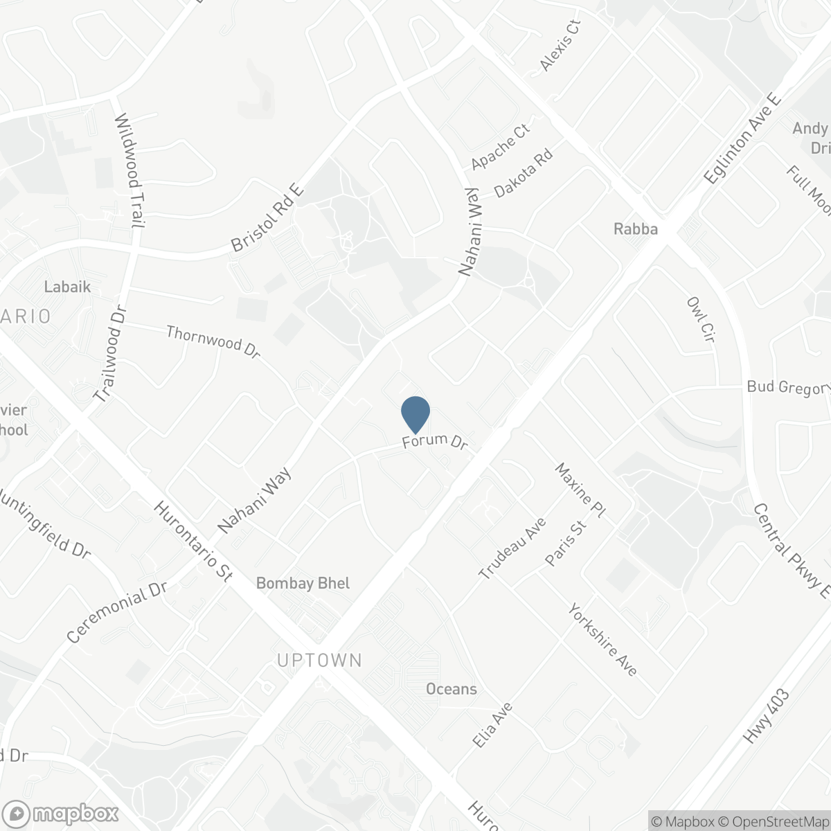 110A - 211 FORUM DRIVE, Mississauga, Ontario L4Z 4C1